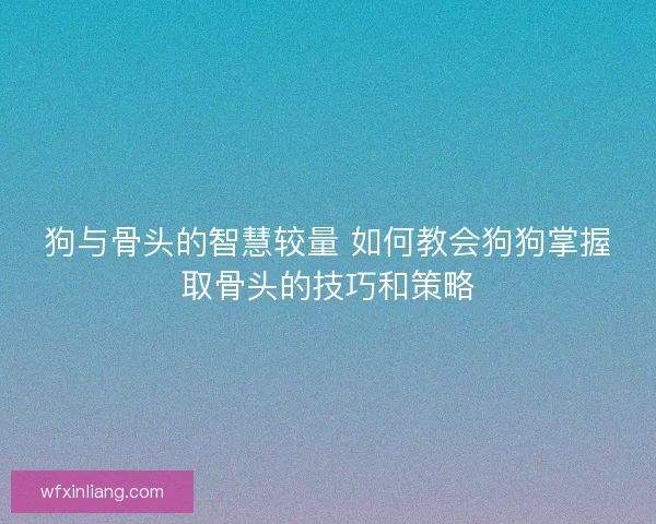 狗与骨头的智慧较量 如何教会狗狗掌握取骨头的技巧和策略