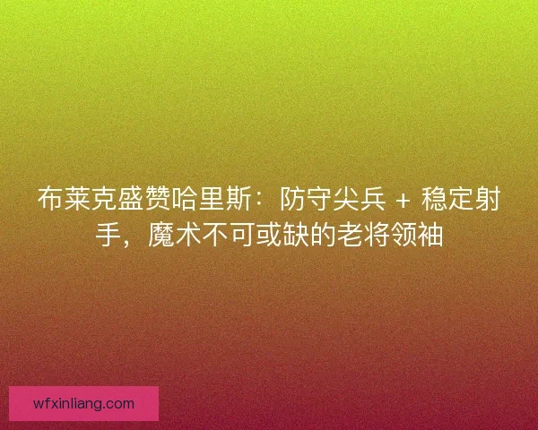 布莱克盛赞哈里斯：防守尖兵 + 稳定射手，魔术不可或缺的老将领袖